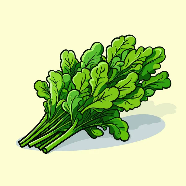 Bunch Green Leafy Vegetables White Background — Stock Vector