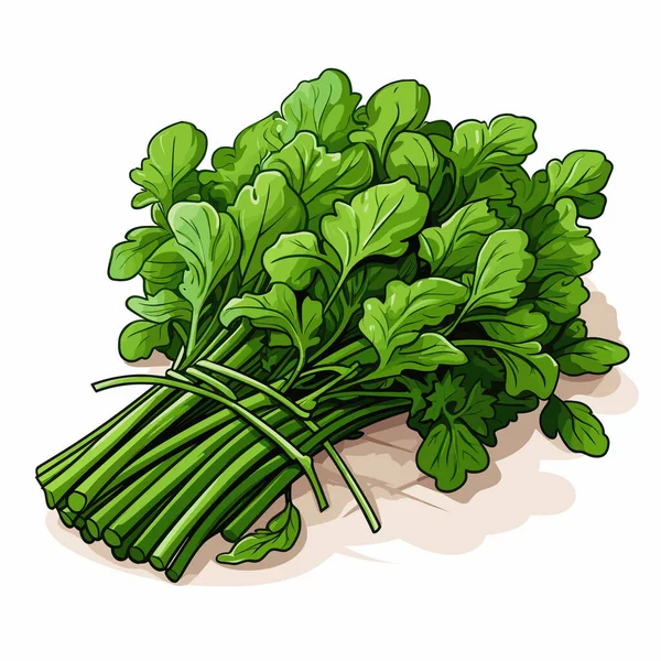 Ένα Μάτσο Πράσινα Φυλλώδη Λαχανικά Λευκό Φόντο — Διανυσματικό Αρχείο