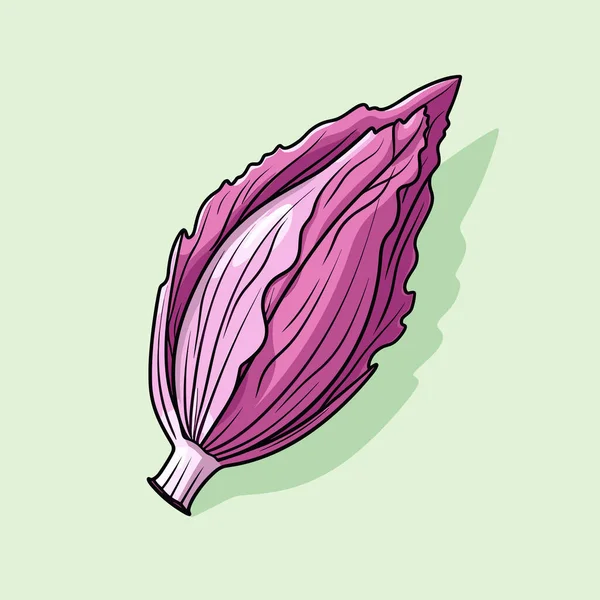 绿色背景上的紫色卷心菜 — 图库矢量图片