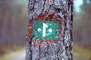 Bir ağaçta 1 işaretli