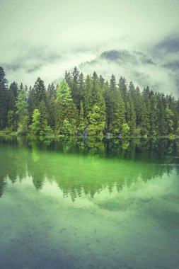 Almanya 'daki Hintersee gölünde mistik bir sabah.