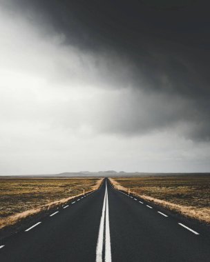 İzlanda 'nın batı fiyortlarında sessiz bir yol.