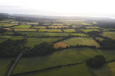 Yeşil tarlalarla puslu bir sabah