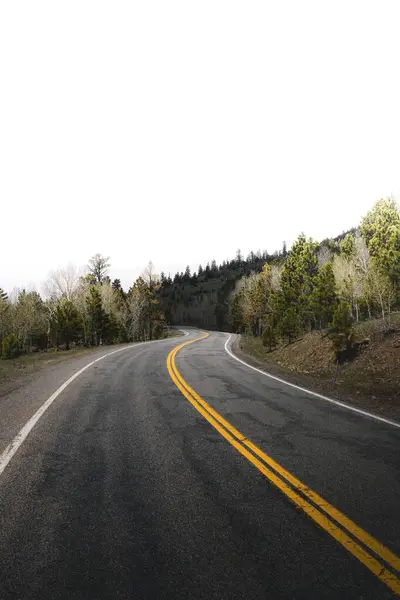 Sisli bir ormana giden yol