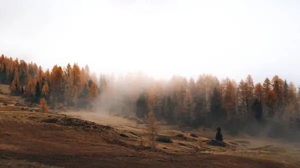 Sonbahar boyunca sis, Dolomitleri örtüyor.