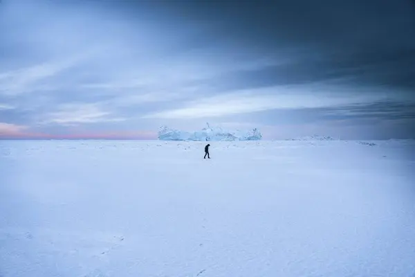 Ilulissat, Grönland 'da karda yürüyen bir adam.