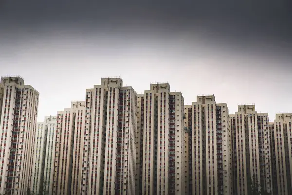 Hong Kong 'da büyük daireler.
