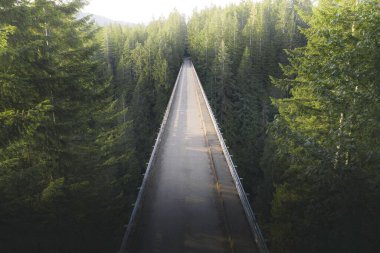 Ormandaki bir nehirde köprü