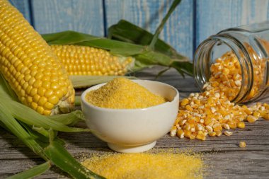 Mısır unu ya da mısır gevreği kabında kurutulmuş mısır taneleri ve ahşap bir masada mavi arka planda taze mısır koçanları.