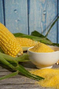 Mısır unu kasede taze mısır koçanları kırsal ahşap masada ve mavi ahşap arka planda