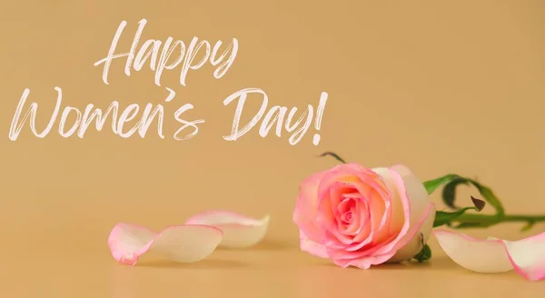 Happy Womens Day Text Greeting Card Holiday Background Delicate Pink — Stockfoto