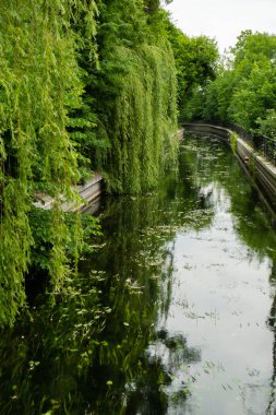 Güzel bir bahar nehri ve orman. Sudaki ağaçların doğa yansıması. Soyut doğal arkaplan. Birçok yeşil ağacın bulanık siluetleri, yapraklar nehrin huzurlu yüzeyi, göl