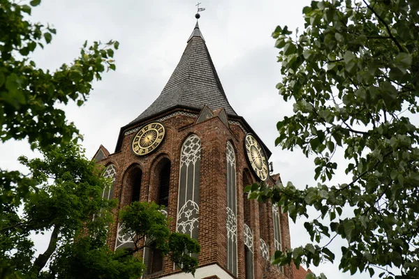 Пруссия Польша Май 2022 Года Старая Готическая Церковь Красивая Церковь — стоковое фото