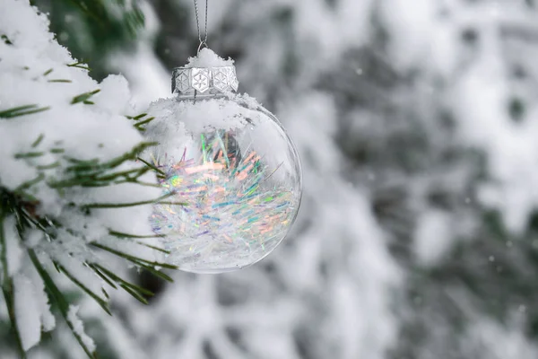 冬季森林里雪地枝条上的透明的时髦玻璃球 寒假背景 复制空间 新年快乐圣诞快乐贺卡 后背下着雪 创意时尚装饰 — 图库照片