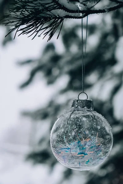 Transparente Trendige Gläserne Weihnachtskugel Auf Schneebedeckten Zweigtannen Winterwald Winterurlaub Hintergrund — Stockfoto
