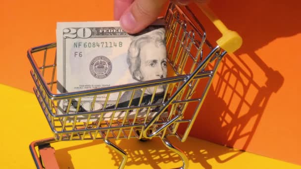 Mano Aggiungere Banconote Dollari Denaro Nel Carrello Del Supermercato Giocattolo — Video Stock