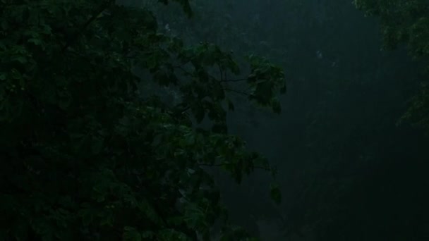 夏には雷雨のシャワーを注ぐ 背景に緑の木 風の強い雨の天気 ボケで撮影を閉じます 季節熱帯雨林暗い夜の映像大雨 強い嵐 — ストック動画