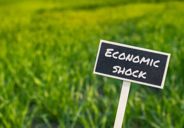 Etichetta Informazioni Legno Con Testo Economic Shock Contro Messaggio Campo — Foto Stock
