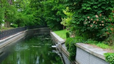 Güzel bir bahar nehri ve orman. Sudaki ağaçların doğa yansıması. Soyut doğal arkaplan. Birçok yeşil ağacın bulanık siluetleri, yapraklar nehrin huzurlu yüzeyi, göl