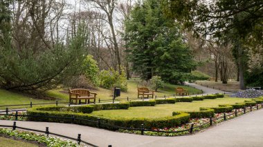 Sonbahar mevsiminde bulutlu bir günde parkta boş bir ahşap bank. Olivia Parkı, Gdansk Polonya 'da. Kenar mahalleleri manzaralı şehir parkı. Yol boyunca sokak lambaları olan şehir bahçesi