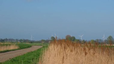 Large wind turbines with blades in field sunset blue sky wind. Alternative energy powerful Wind turbine farm for energy production Wind power turbines generating clean renewable energy for sustainable