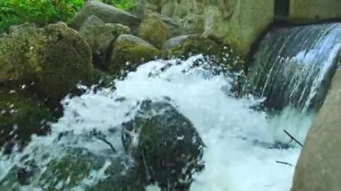 Olivia halk parkında şelale şelalesi, Gdansk Polonya. Kayalıklardan ve ağaçlardan nehir şelaleleri. Küçük şelaleli turistik eğlence ve doğa ile berrak su birliği