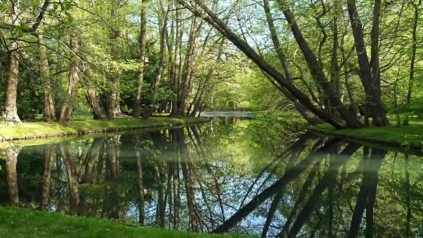 Hermoso Lago Primavera Bosque Naturaleza Primavera Reflejo Árboles Agua Fondo — Vídeos de Stock