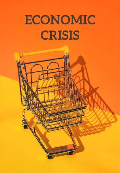 Gazdasági Vizsgálat Szöveg Üres Bevásárlókocsi Ellen Izometrikus Narancssárga Háttérrel Kis — Stock Fotó
