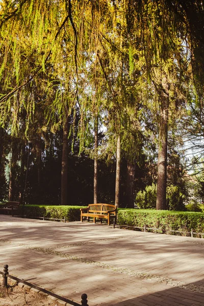 Green Wooden Bench Park Sunny Day Autumn Spring Summer Season — стокове фото