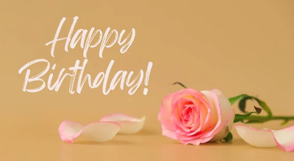 Happy Birthday Text Greeting Card Holiday Background Delicate Pink Roses — Photo