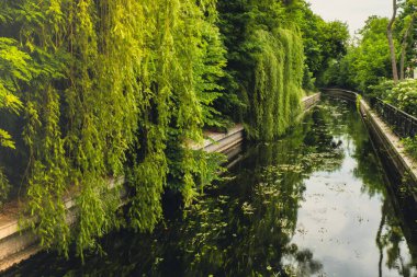 Güzel bir bahar nehri ve orman. Sudaki ağaçların doğa yansıması. Soyut doğal arkaplan. Birçok yeşil ağacın bulanık siluetleri, yapraklar nehrin huzurlu yüzeyi, göl