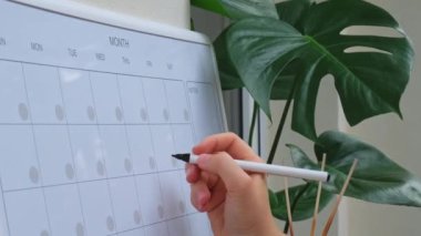 Aylık Planlamacı 'da keçeli kalemle kelime yazan bir kadın. Ayın günleriyle birlikte manyetik pano. Önemli konuları girebileceğiniz bir yer. İş planlama kavramı. Beyaz Tahta Planlayıcı