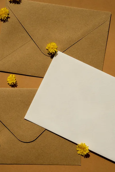 Güzel Sarı Papatya Çiçekleri Posta Sarı Zarfları Üzerinde Bej Arka — Stok fotoğraf