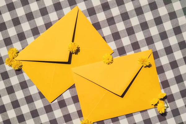 Lindas Pequenas Flores Margaridas Camomila Amarela Dois Envelopes Amarelos Postais — Fotografia de Stock