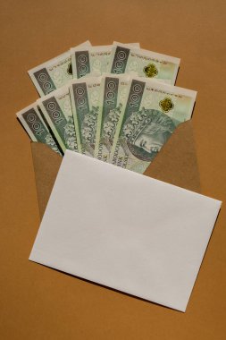 Polonya zloti banknotu, bej arka plan fotokopi alanında zarf içinde para biriktiriyor. Tüketim ve ekonomi para topluyor. Bahşiş. İş, finans, tasarruf, bankacılık ve insan konsepti. Ekstra para