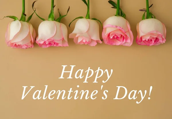 Delicate Pink Roses Beige Background Happy Valentines Day Text Minimal — Fotografia de Stock