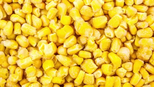 4Kズームアウト新鮮な冷凍トウモロコシの背景 冬の貯蔵のための野菜をストック トウモロコシのおいしい黄色の穀物 ポップコーンの食感 黄金のトウモロコシ — ストック動画
