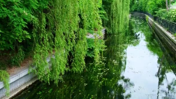 Весенняя Река Лес Природа Отражение Деревьев Воде Абстрактный Естественный Фон — стоковое видео