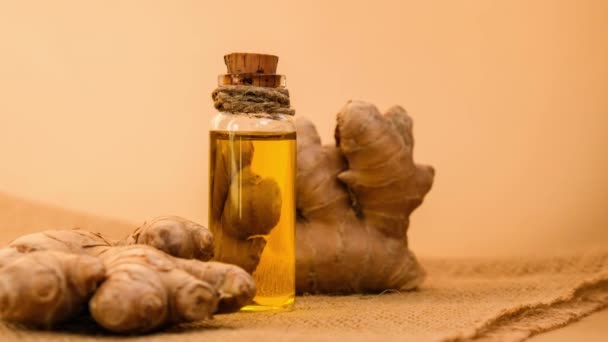 Zoom Out Glass Bottle Essential Ginger Oil Ginger Root Beige — 图库视频影像