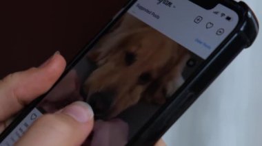 Gdansk, Polonya - Haziran 2022: INSTAGRAM telefonunda sosyal medya beslemesi yapan bir kadının 4k 'lık dikkatsiz görüntüsü. Eğlence için sosyal ağı kullanmak. Hayal kırıklığı zaman kaybı. Bağımlılık Denetimi