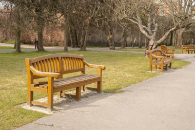 Sonbahar mevsiminde bulutlu bir günde parkta boş bir ahşap bank. Olivia Parkı, Gdansk Polonya 'da. Kenar mahalleleri manzaralı şehir parkı. Yol boyunca sokak lambaları olan şehir bahçesi
