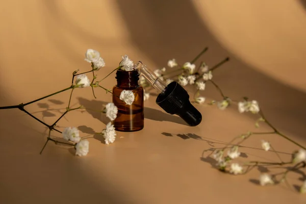 Small bottle of serum on neutral beige background. Trendy shadows. Beauty pipette dropper with Gypsophila or baby\'s breath white flowers. Glass of cosmetic oil and dried flowers and herbs. Natural organic herbal skin care oil, small flowers. Facial l