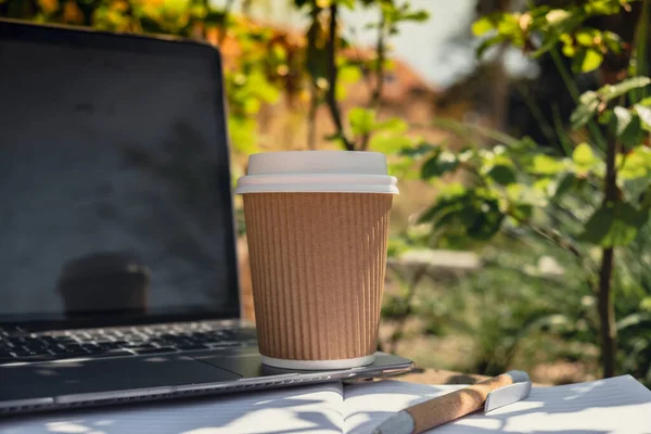 Take away coffee in craft recycling paper cup with paper notebook and laptop. Freelancer\'s place of work. Study and work online. Remote business education. View webinar. E-learning Workstation on wooden bench. Mockup Coffee break. Making plans for ne
