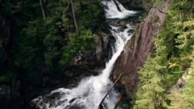 Waterfall in forest between green trees on the way to Morskie oko in Poland. Nature river waterfall forest. Forest, flowing river, fallen leaves, mossy rocks in Tatras mountain stream National Park 4k