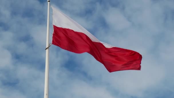 波兰国旗迎风飘扬 迎着美丽的蓝天飘扬 波兰国旗白色和红色在蓝天上飘扬 波兰国旗在旗杆上飘扬 天空在后面 — 图库视频影像