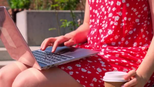 Wanita Muda Bekerja Pada Laptop Bangku Kayu Taman Minum Kopi — Stok Video