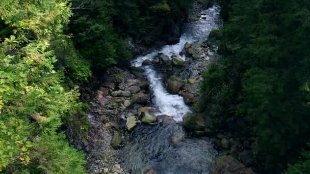 Waterfall Forest Green Trees Way Morskie Oko Poland Nature River — Stockvideo