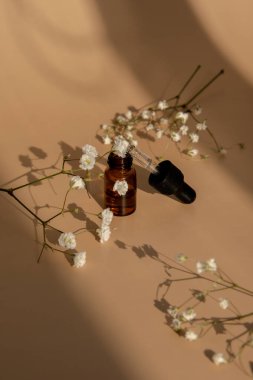 Tarafsız bej arka planda küçük bir şişe serum. Moda gölgeleri. Çingeneli ya da bebek nefesli güzel pipet damlası. Beyaz çiçekler. Bir bardak kozmetik yağı, kurutulmuş çiçekler ve bitkiler. Doğal organik bitkisel cilt bakım yağı, küçük çiçekler. Yüz!