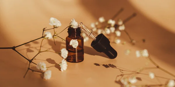 Small bottle of serum on neutral beige background. Trendy shadows. Beauty pipette dropper with Gypsophila or baby\'s breath white flowers. Glass of cosmetic oil and dried flowers and herbs. Natural organic herbal skin care oil, small flowers. Facial l