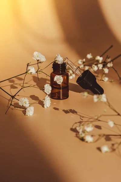 Small bottle of serum on neutral beige background. Trendy shadows. Beauty pipette dropper with Gypsophila or baby's breath white flowers. Glass of cosmetic oil and dried flowers and herbs. Natural organic herbal skin care oil, small flowers. Facial l